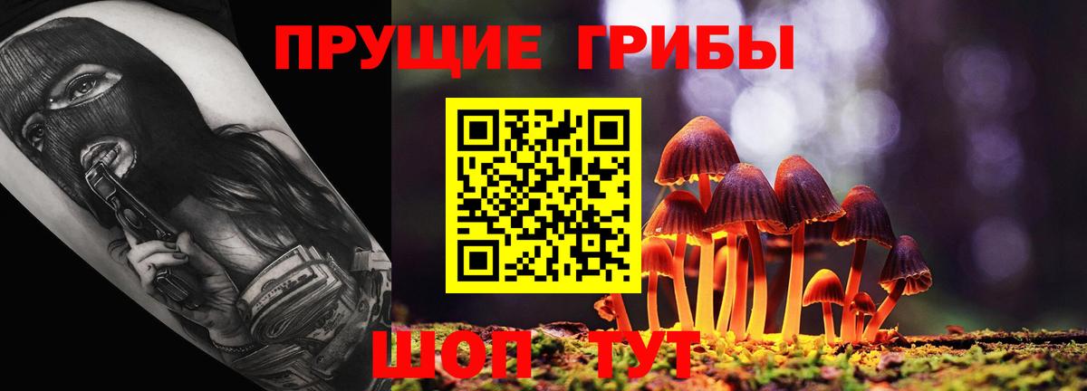 Псилоцибиновые грибы Magic Shrooms Ногинск